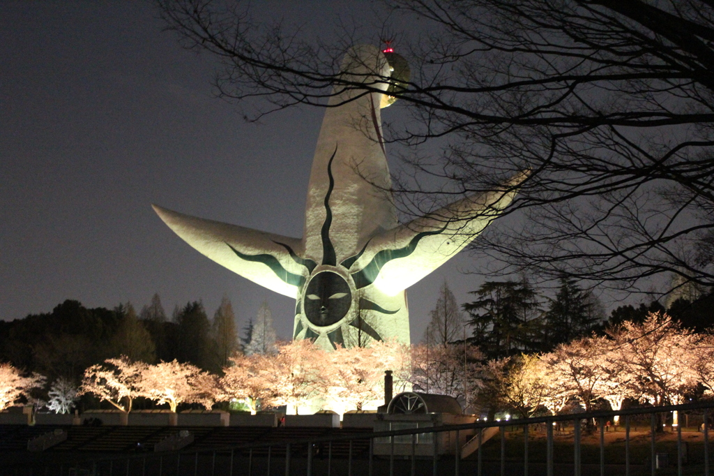 2015 万博公園夜桜　2