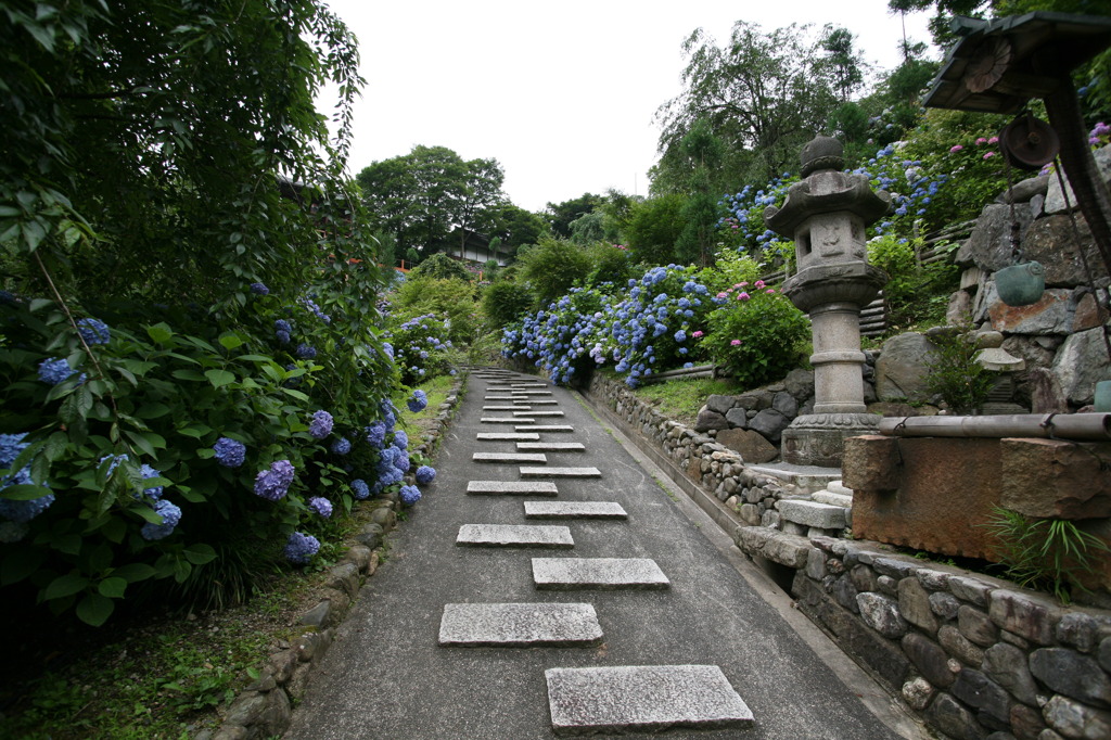 善峯寺
