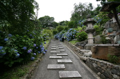 善峯寺