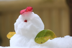 雪っこ