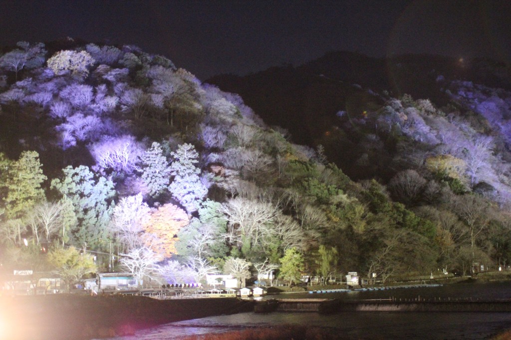 京都　嵐山１２月