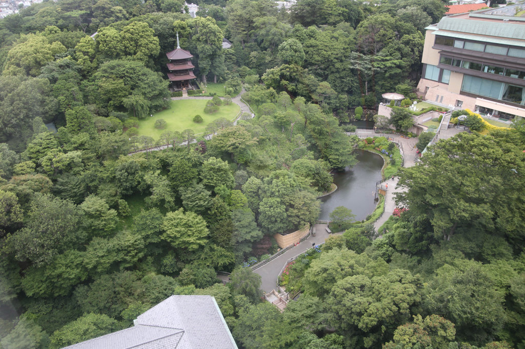 ６月の椿山荘