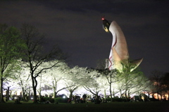 夜桜と太陽の塔