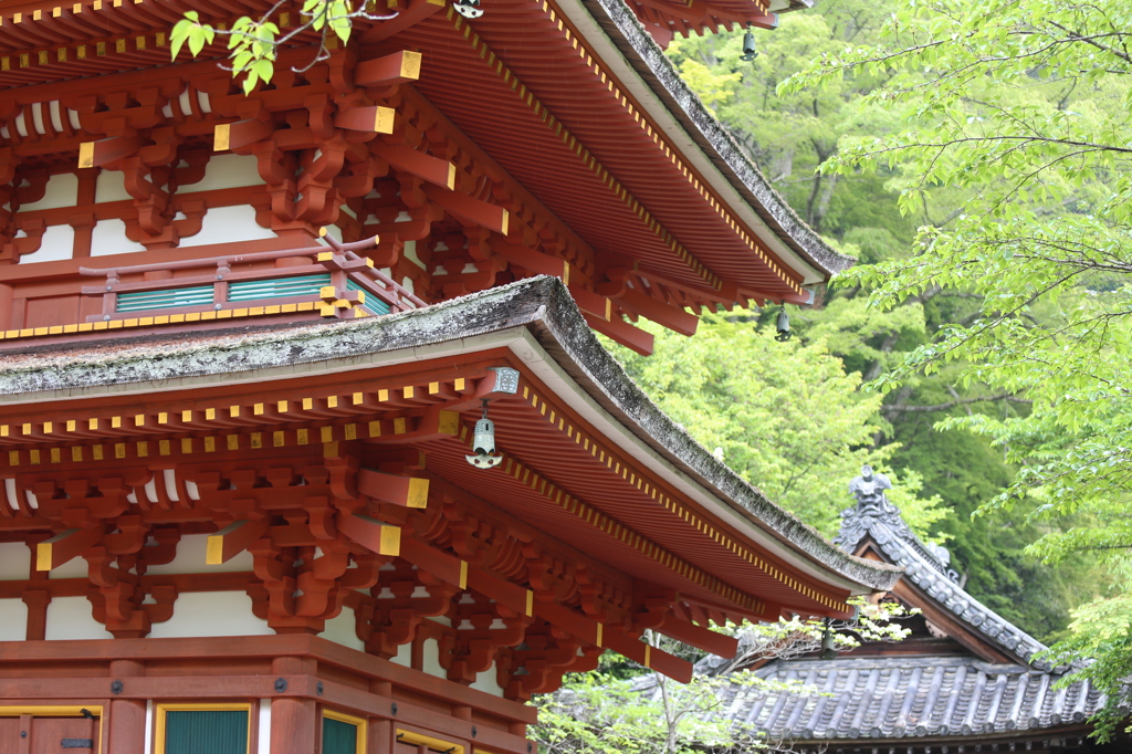 長谷寺五重塔