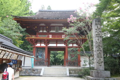 夏の室生寺