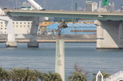 大阪北港モニュメント