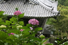 善峯寺