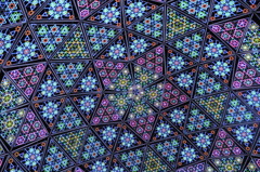 ヒカリマンダラ