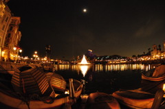 水上に浮かぶツリー