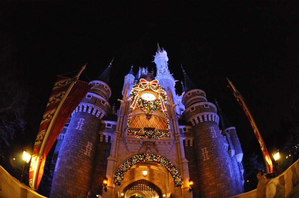 夢と魔法の王国