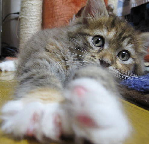 のびぃ～