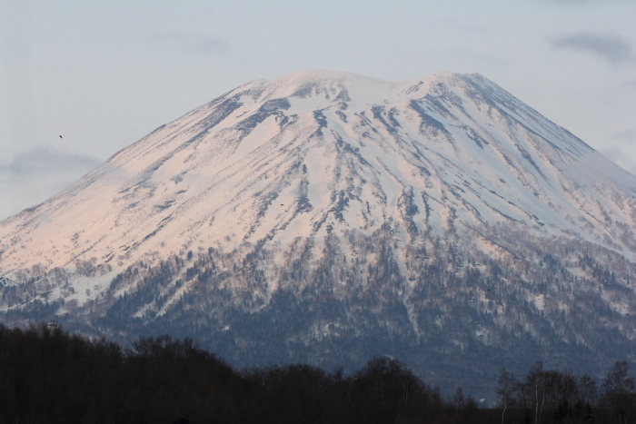 羊蹄山