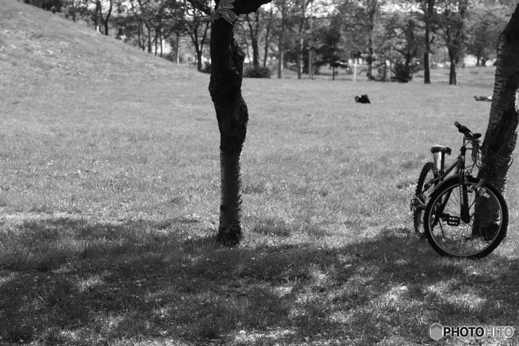 自転車