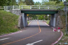 ピンクの自転車と散る桜