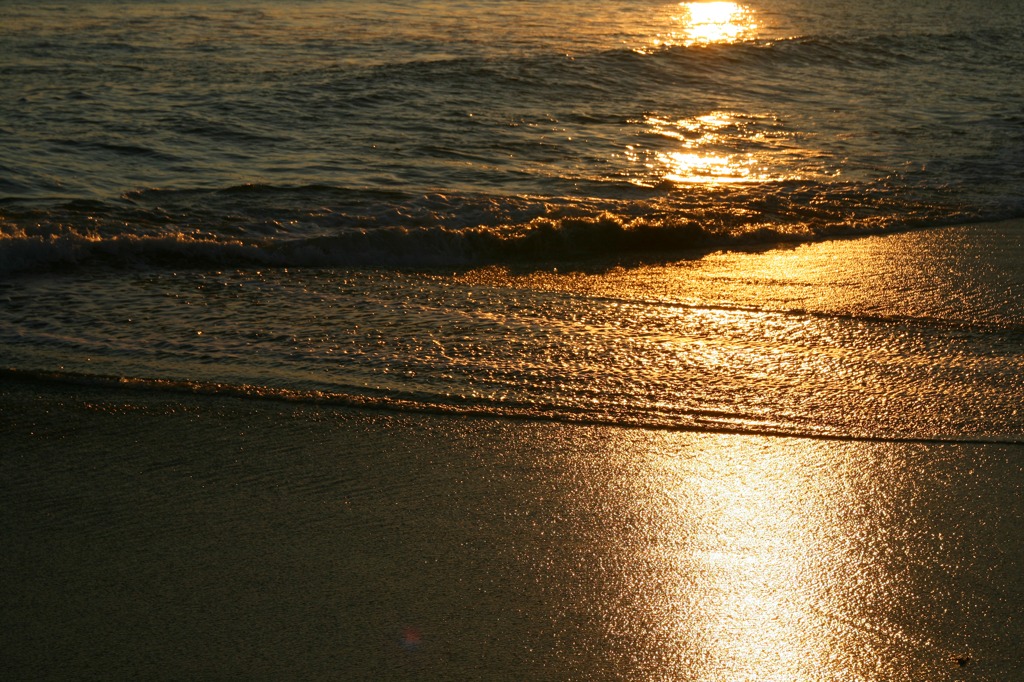 浜辺の朝2
