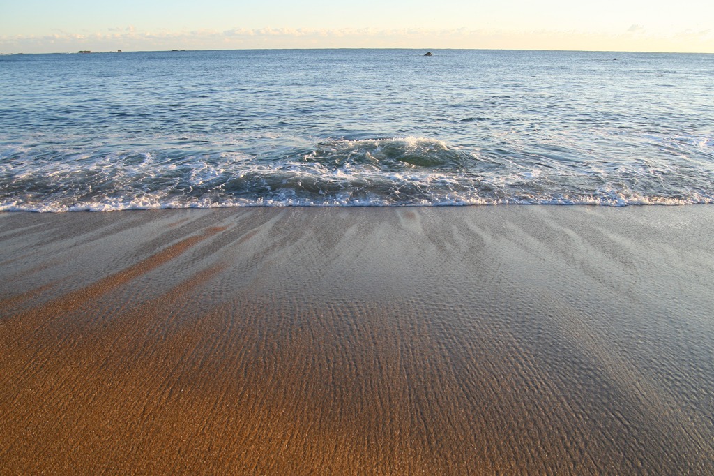 海