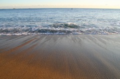 海