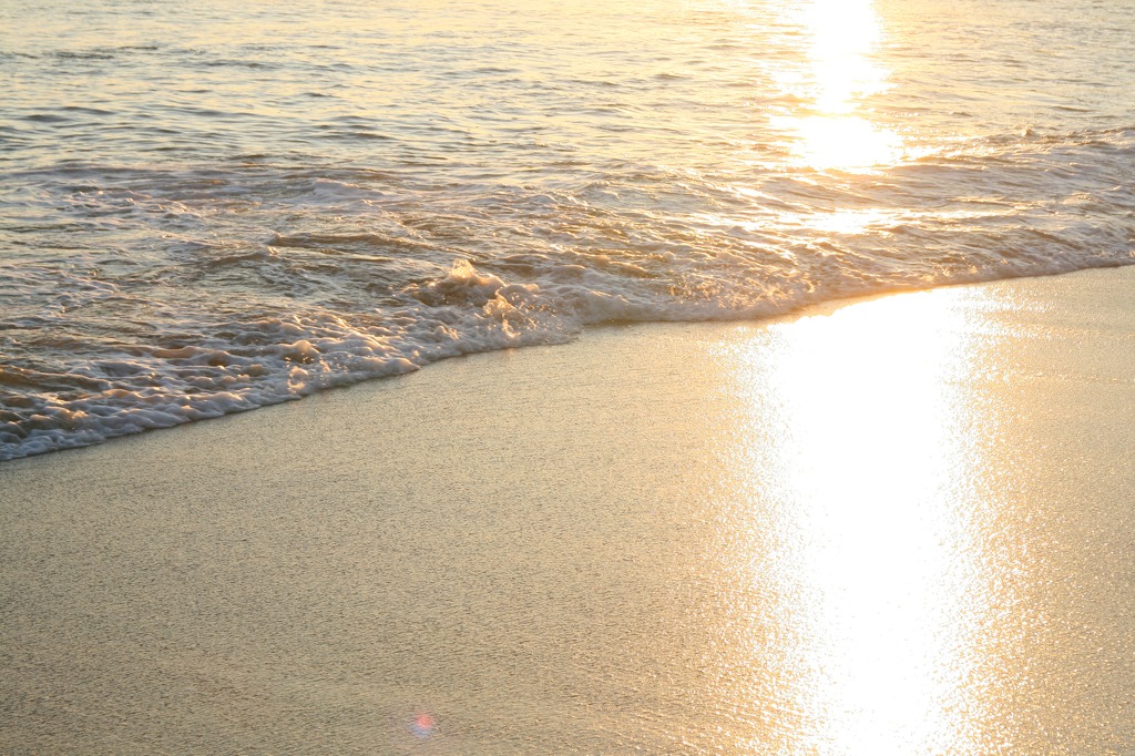 浜辺の朝３