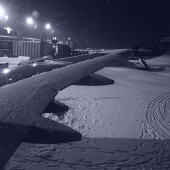 雪の載った翼