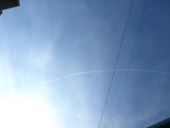 虹