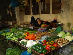 お昼寝中の野菜屋さん。