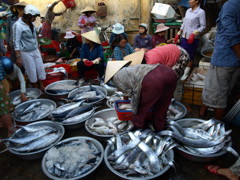 市場に魚の匂いが漂う。
