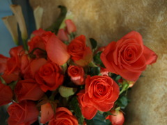 Rose.
