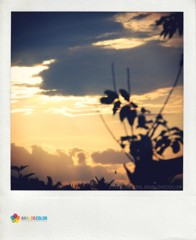 Bali06