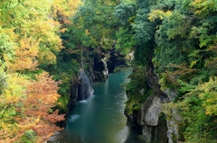渓谷の紅葉