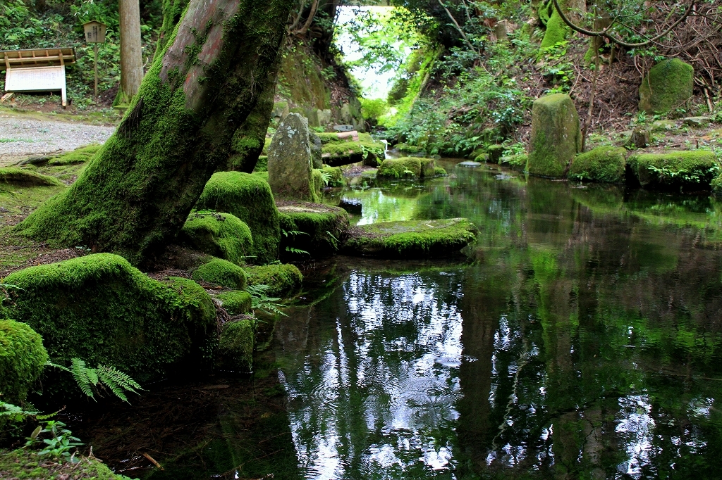 苔色