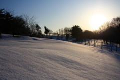 早朝の雪景色