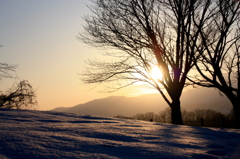 朝日に染まる風景