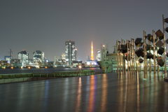 夜景１