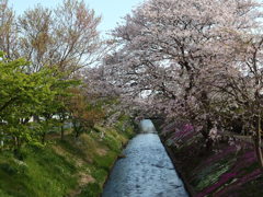 渋田川