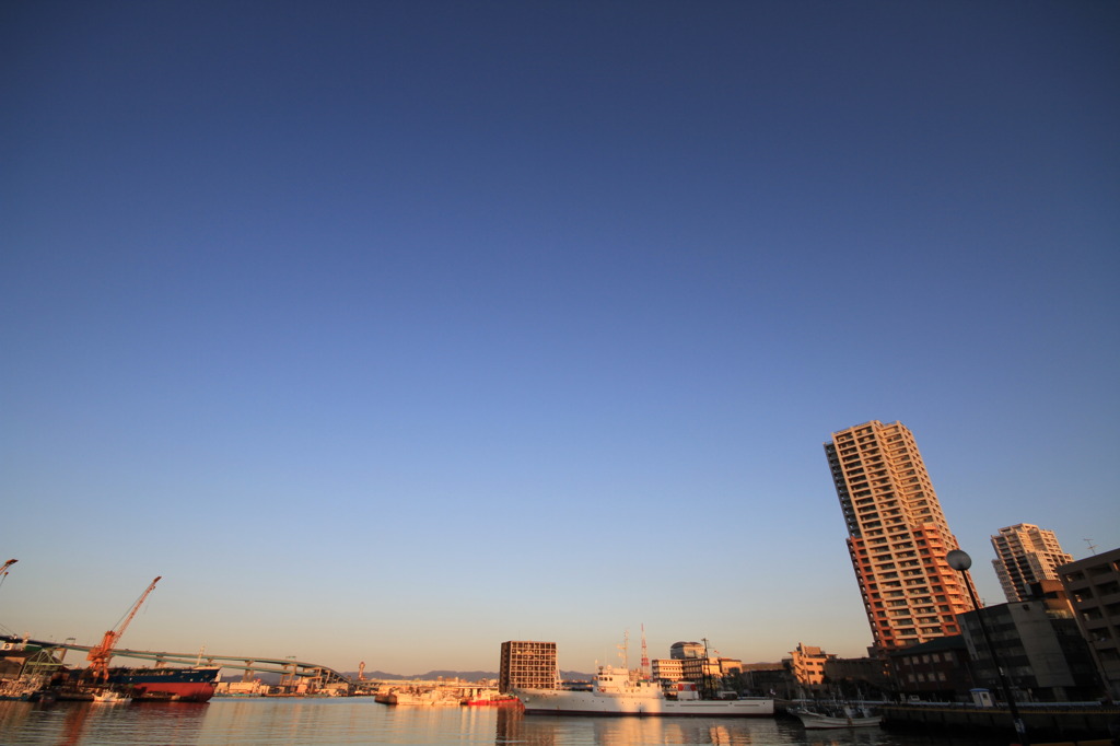 埠頭試し撮り②