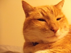 after a good nap