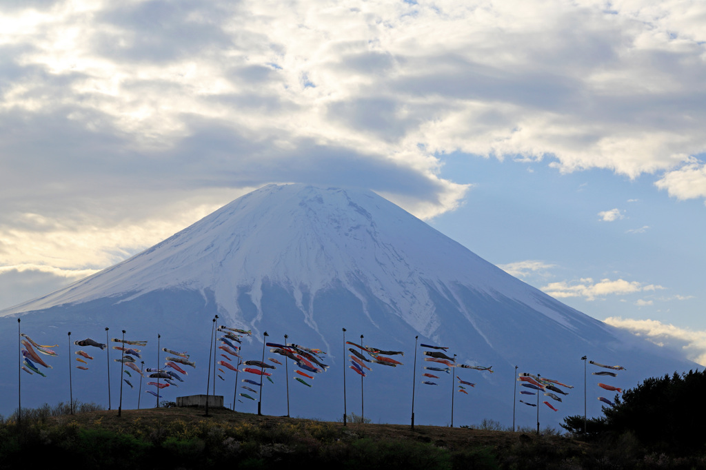 大漁旗のような…