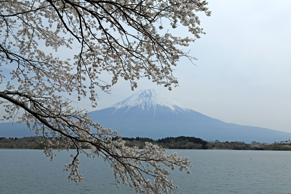 お花見♡…富士見❤…その２♡