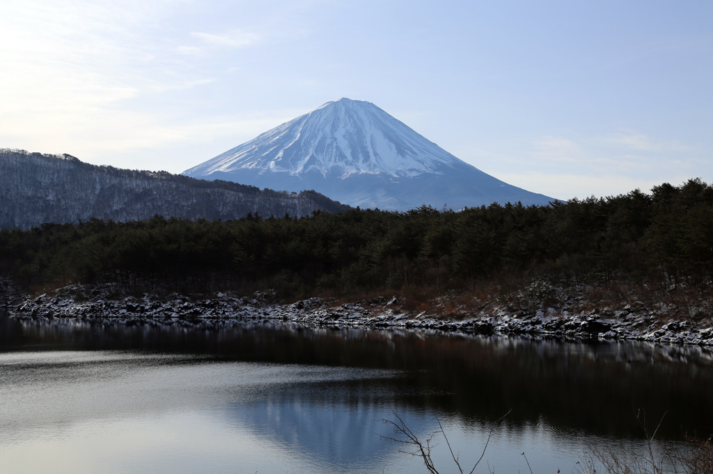 西湖からの富士