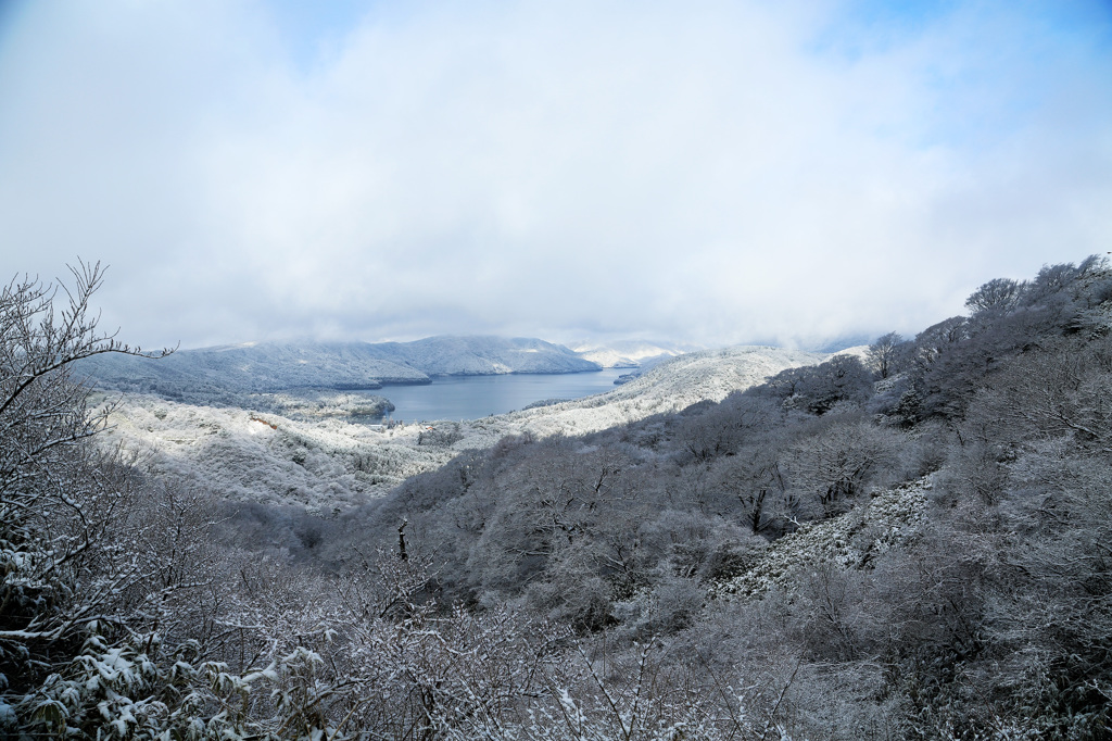 樹氷…本当にここは箱根なのか…