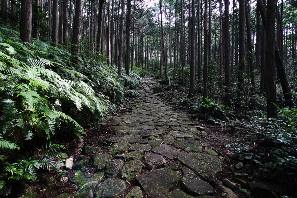 馬越峠へ「熊野古道」