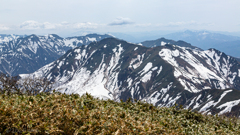 遥か谷川岳