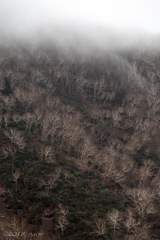 雲へ溶け行く…