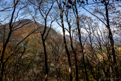 紅葉の樹間から見る採掘の山