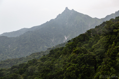 屋久島らしい花崗岩の峰