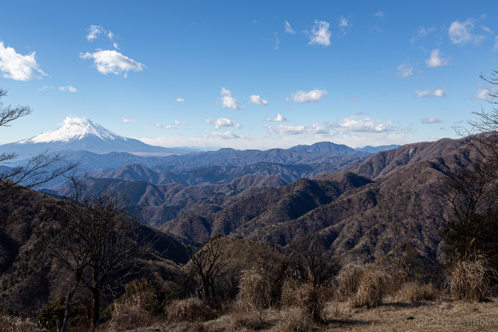 鍋焼きうどんの景