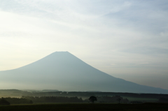 朝靄の農場に
