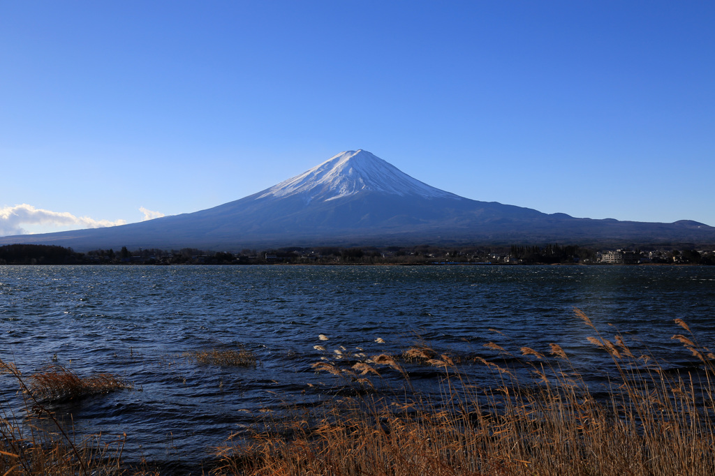 本当、「世界遺産」納得ですね！