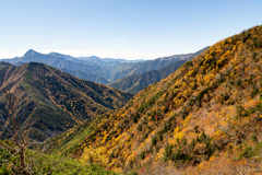 見頃でした。駒津峰…