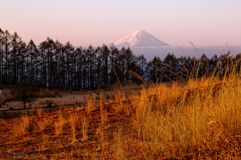 山行への期待